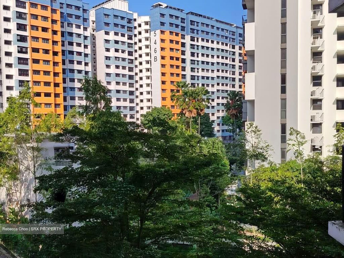 Blk 487 Segar Grove (Bukit Panjang), HDB 4 Rooms #552766631